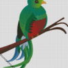 Quetzal Bird Art Diamond Paintings