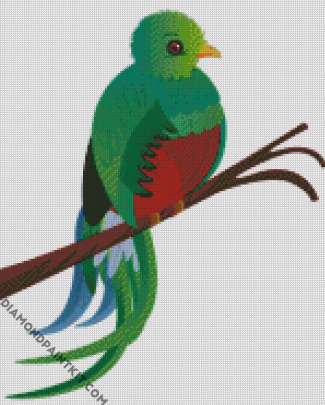 Quetzal Bird Art Diamond Paintings