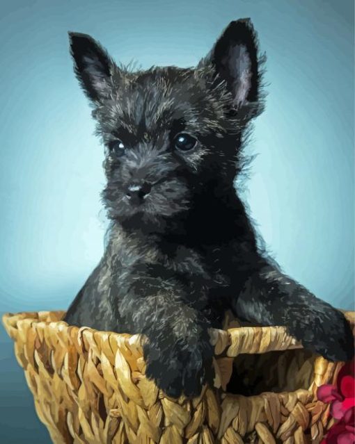 Black Cairn Terrier In Basket Diamond Paintings