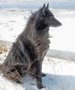 Black Ice Wolf In Snow Diamond Paintings