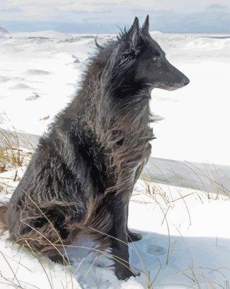 Black Ice Wolf In Snow Diamond Paintings