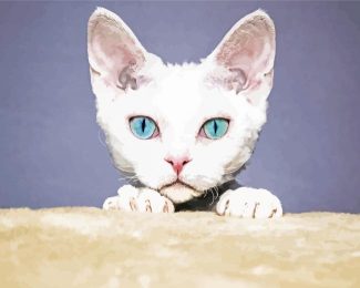 Blue Eyes Devon Rex Cat Diamond Paintings