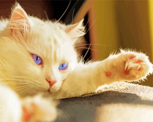 Blue Eyes White Persian Cat Diamond Paintings