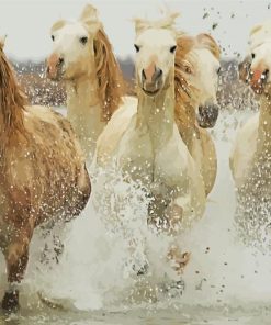 Five Horses In Water Diamond Paintings