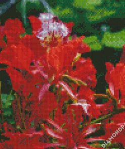 Flamboyan Flower Plant diamond painting