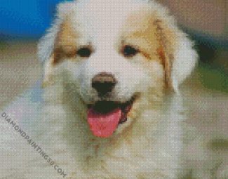 Great Pyrenees Puppy diamond painting