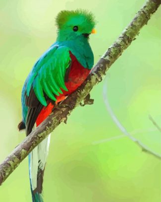 Green Quetzal Bird Diamond Paintings