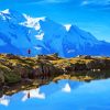 Water Reflection Mont Blanc Italy Diamond Paintings