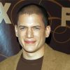 Wentworth Miller Actor Diamond Paintings