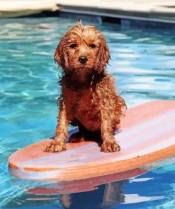 Wet Dog On Surfboard Diamond Paintings