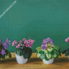 African Violets Diamond Paintings