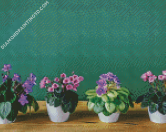 African Violets Diamond Paintings