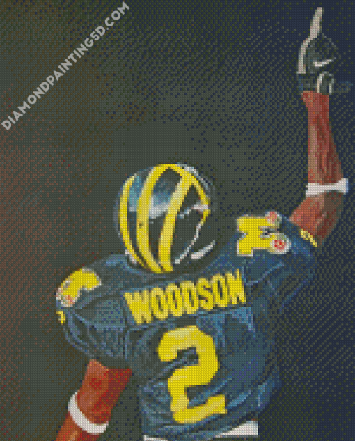 Michigan Wolverine Football Art Diamond Paintings