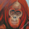 Orangutans Diamond Paintings