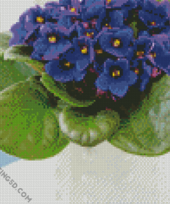 Aesthetic African Violets Diamond Paintings