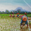 Aesthetic Rice Field Diamond Paintings
