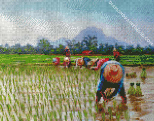 Aesthetic Rice Field Diamond Paintings