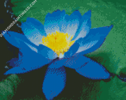 Blue Lotus Blossom Diamond Paintings