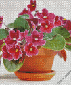 Pretty African Violets Diamond Paintings