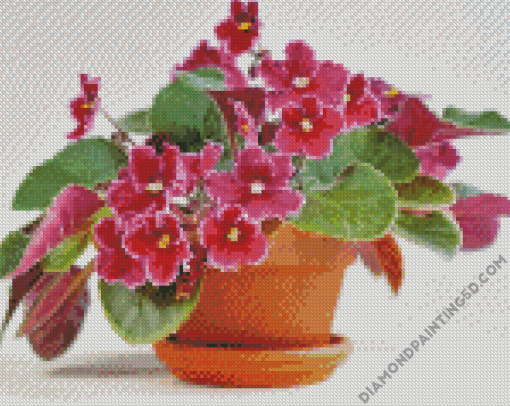 Pretty African Violets Diamond Paintings