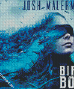 Bird Box Movie Poster Diamond Paintings