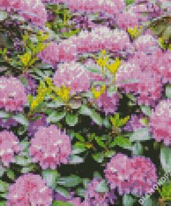 Purple Rhododendron Diamond Paintings