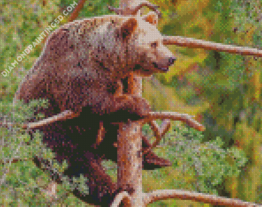 Bear On Tree Diamond Paintings