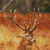 Deer Antlers Close Up Diamond Paintings