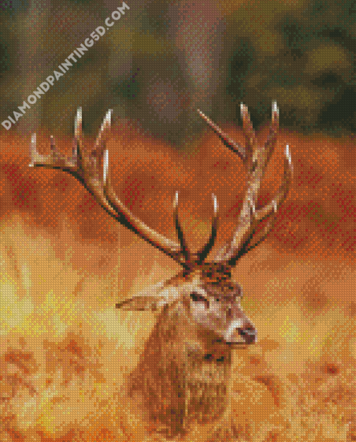 Deer Antlers Close Up Diamond Paintings