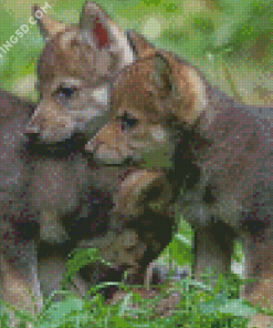Wolf Cubs Diamond Paintings