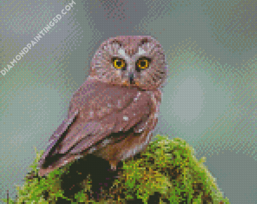 Cedar Tree With Owl Diamond Paintings
