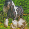 Cob Horse Animal Diamond Paintings