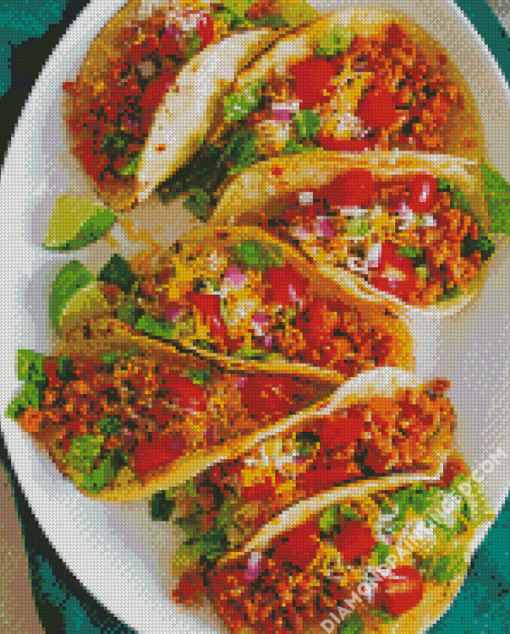 Gound Turkey Tacos Diamond Paintings