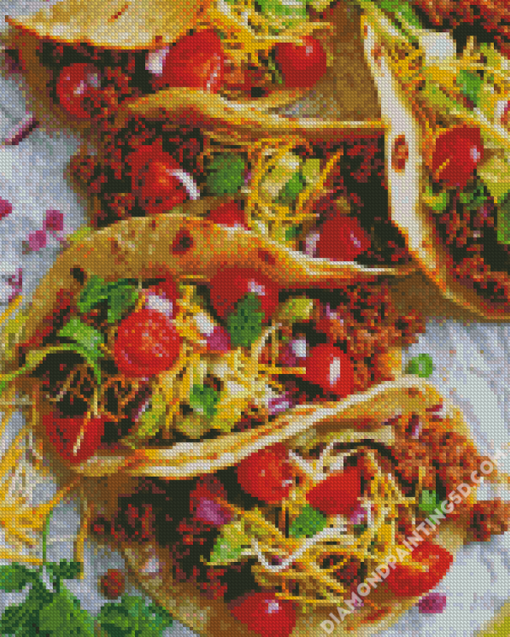 Tasty Gound Turkey Tacos Diamond Paintings