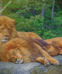 Two Lions Diamond Paintings