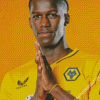 Willy Boly Wolves Player Diamond Paintings