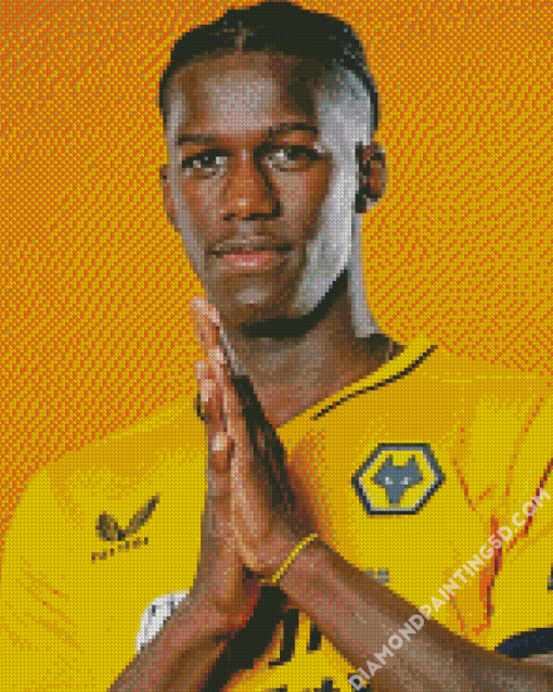 Willy Boly Wolves Player Diamond Paintings