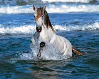Adorable Horse In Water Diamond Paintings