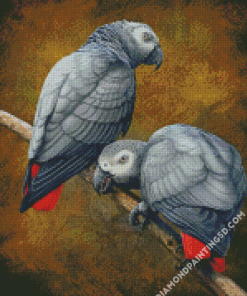 African Grey Parrots Diamond Paintings