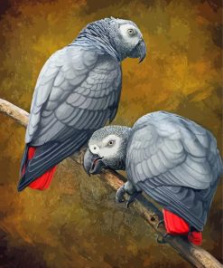 African Grey Parrots Diamond Paintings