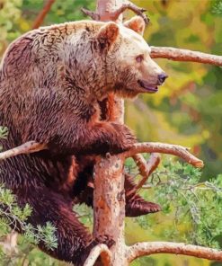 Bear On Tree Diamond Paintings
