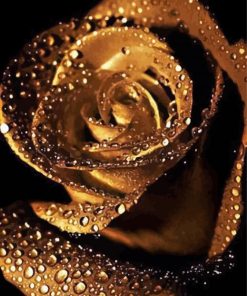 Golden Rose Rain Drops Diamond Paintings