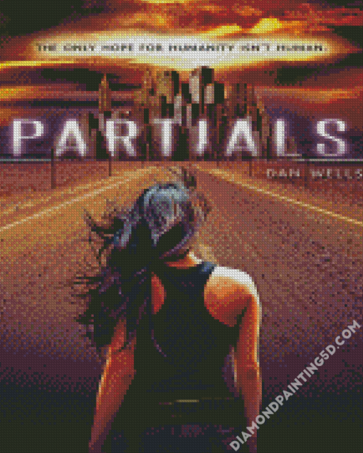 Partials Poster Diamond Paintings