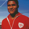 Eusebio Da Silva Player Diamond Paintings