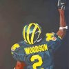 Michigan Wolverine Football Art Diamond Paintings