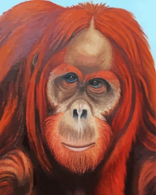 Orangutans Diamond Paintings