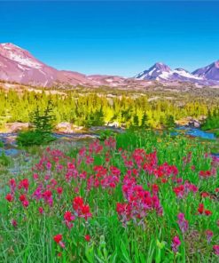 Oregon Mountains Landscape Diamond Paintings