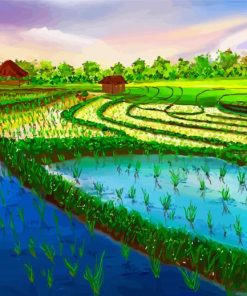 Rice Field Diamond Paintings