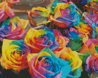 Adorable Colorful Rose Diamond Paintings