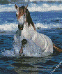Adorable Horse In Water Diamond Paintings